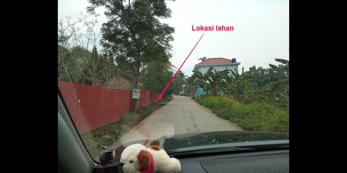 DIJUAL LAHAN KEBUN HOLTIKULTURA BUAH NAGA & TIN LINGKAR SELATAN, CILEGON DIJUAL LAHAN KEBUN HOLTIKULTURA BUAH NAGA & TIN LINGKAR SELATAN, CILEGON