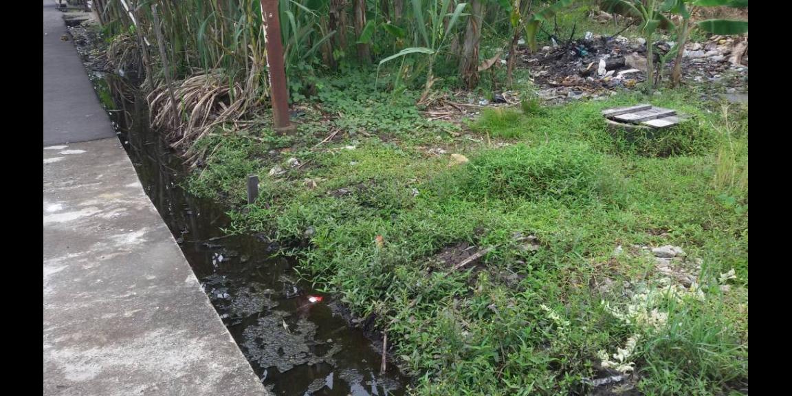 Tanah Usaha Bersama, Pontianak, Kalimantan Barat Tanah Usaha Bersama, Pontianak, Kalimantan Barat