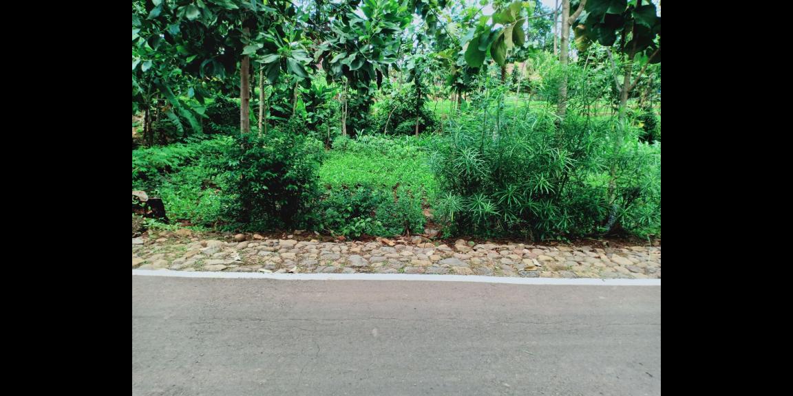 Dijual Tanah 500m² Dekat SMPN 1 Kerjo Karanganyar Dijual Tanah 500m² Dekat SMPN 1 Kerjo Karanganyar