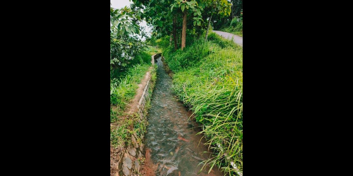 Tanah Subur Strategis Tepi Jl. Raya Kerjo-Kemuning Kerjo Karanganyar Tanah Subur Strategis Tepi Jl. Raya Kerjo-Kemuning Kerjo Karanganyar