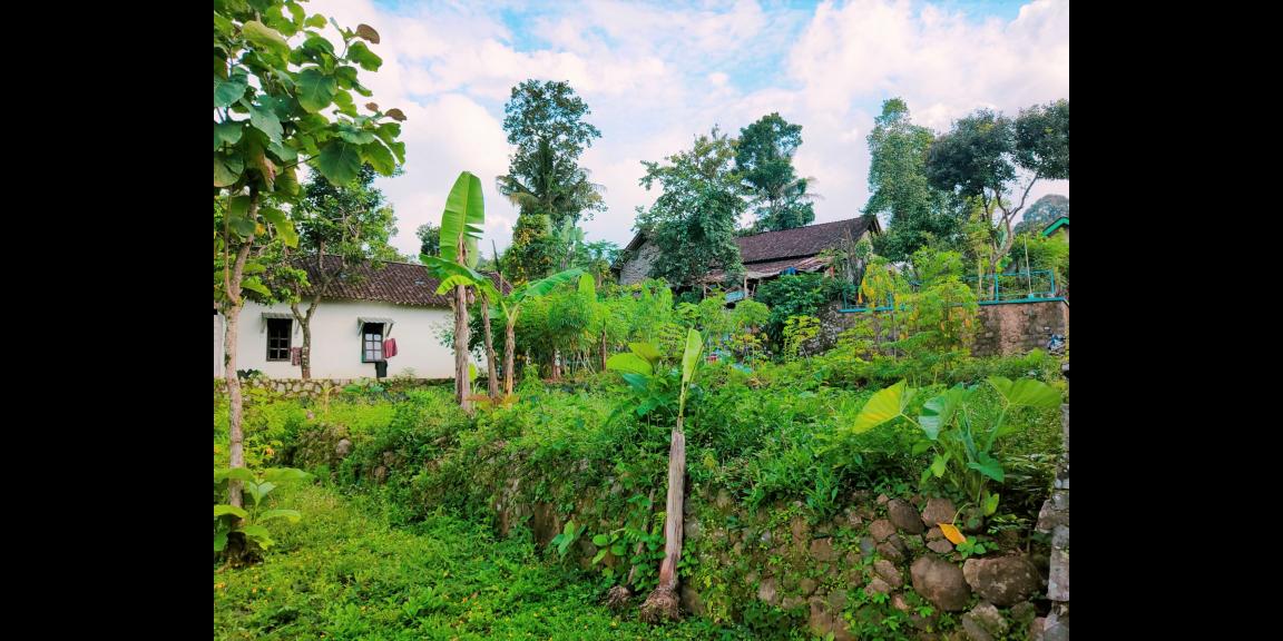 Tanah Dekat Ponpes Isy Karima & Al Azhar Karangpandan Karanganyar Tanah Dekat Ponpes Isy Karima & Al Azhar Karangpandan Karanganyar