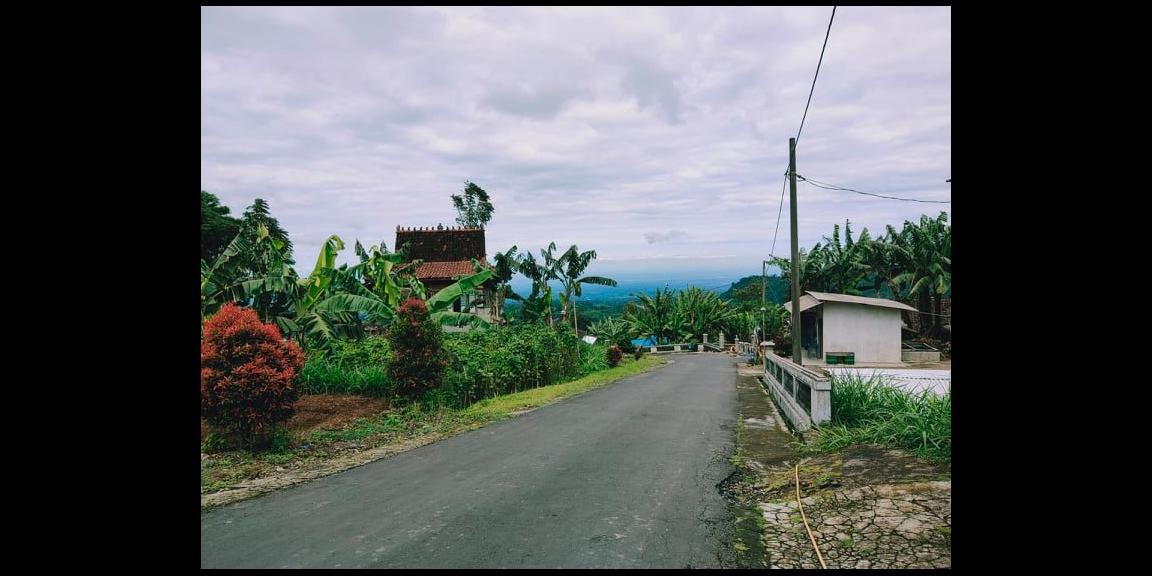 Tanah Idaman Kawasan Wisata Kebun Teh Kemuning Ngargoyoso Karanganyar Tanah Idaman Kawasan Wisata Kebun Teh Kemuning Ngargoyoso Karanganyar
