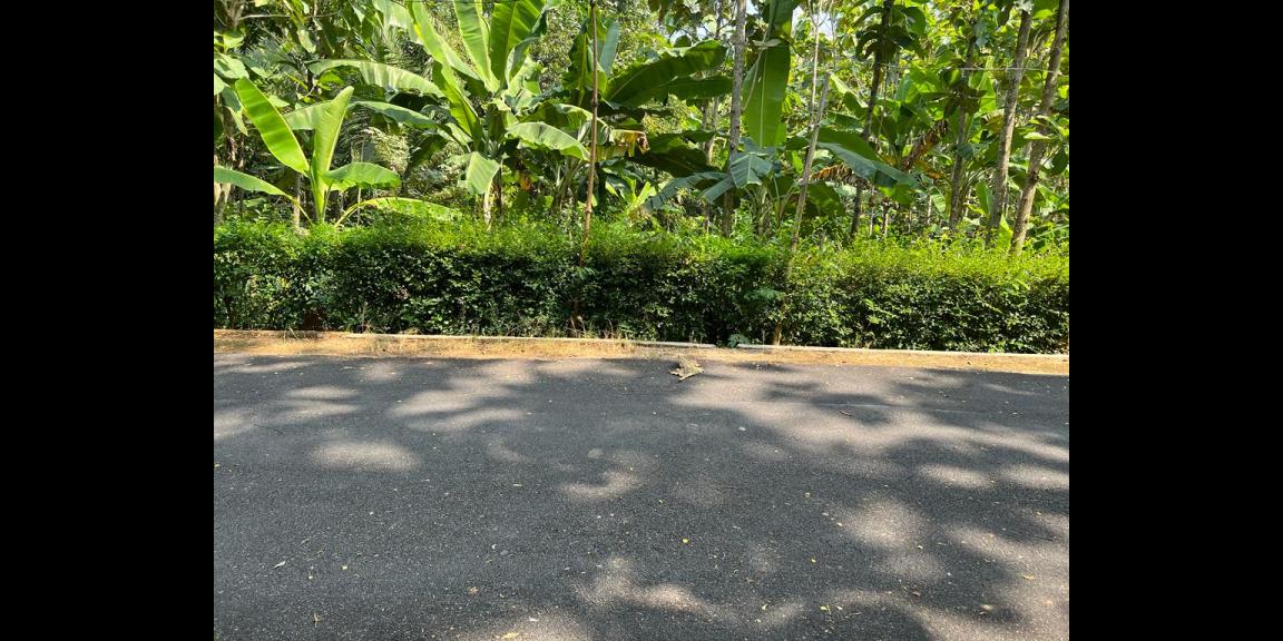 Tanah Datar Bonus Kebun Jati Kerjo Karanganyar Tanah Datar Bonus Kebun Jati Kerjo Karanganyar