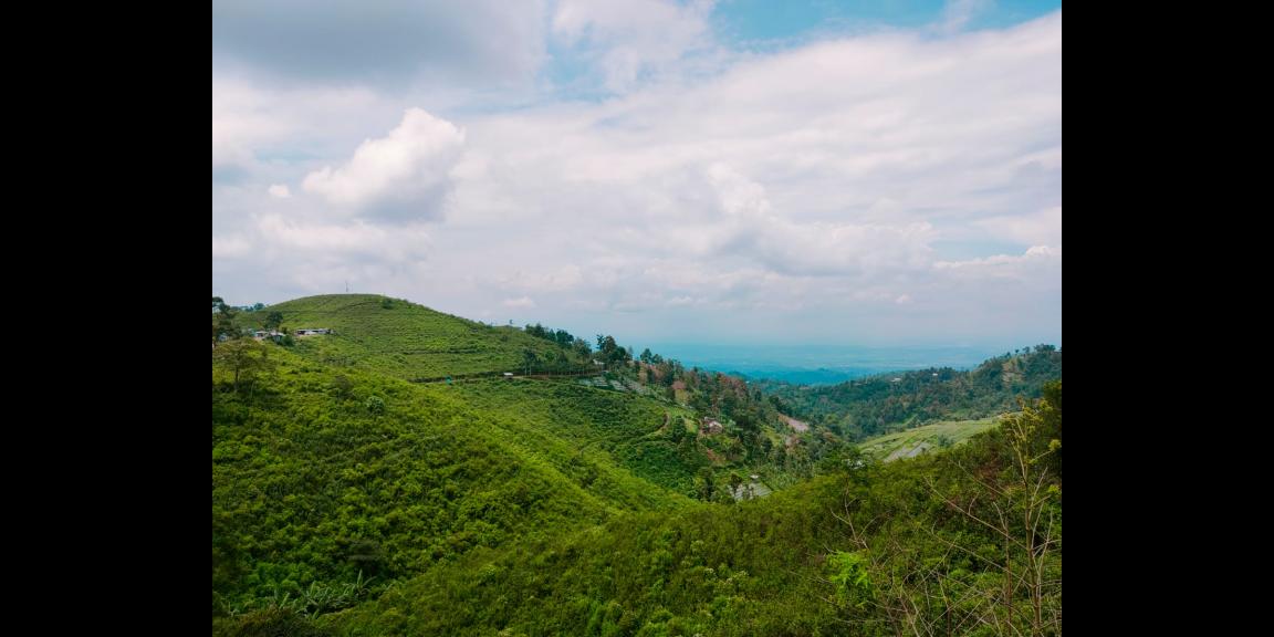 Tanah Datar Strategis Dibangun Villa Ngargoyoso Karanganyar Tanah Datar Strategis Dibangun Villa Ngargoyoso Karanganyar