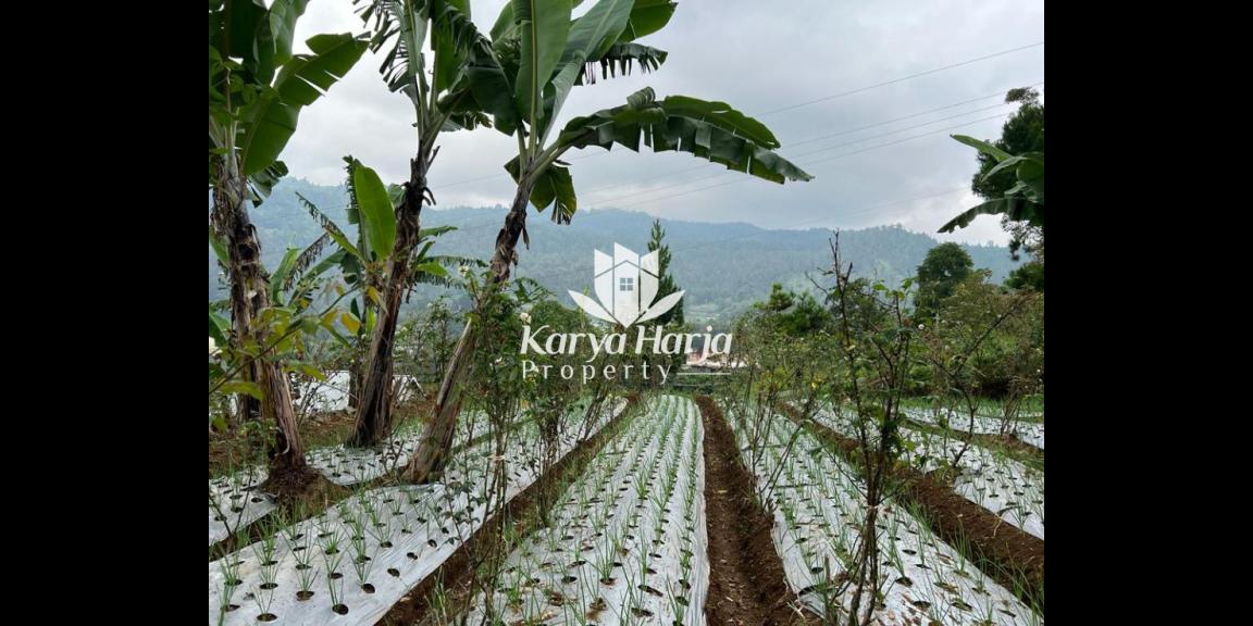 Tanah Istimewa Dekat Telaga Madirda Kemuning Tanah Istimewa Dekat Telaga Madirda Kemuning