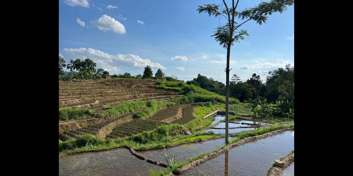 Dijual Tanah Dekat Sungai Kemuning Karanganyar Dijual Tanah Dekat Sungai Kemuning Karanganyar