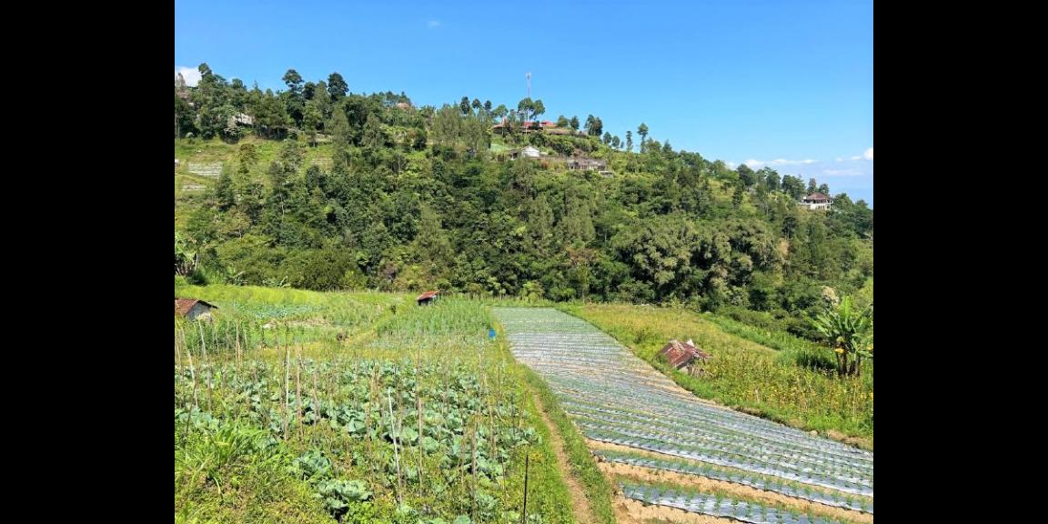 Tanah 2000m² Cocok Bangun Villa Kemuning Karanganyar Tanah 2000m² Cocok Bangun Villa Kemuning Karanganyar