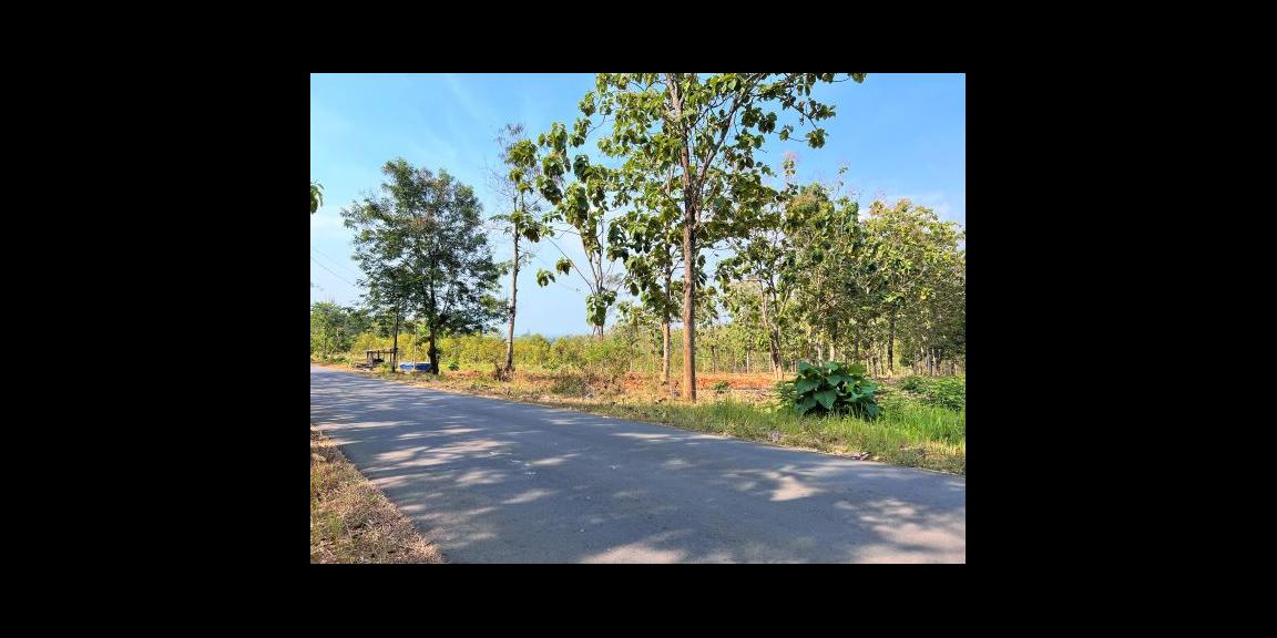 Dijual Tanah Strategis 1 Hektar Kerjo Karanganyar Dijual Tanah Strategis 1 Hektar Kerjo Karanganyar