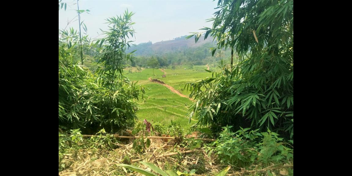 Dijual Tanah 2570m2 Dekat Candi Cetho Karanganyar  Dijual Tanah 2570m2 Dekat Candi Cetho Karanganyar