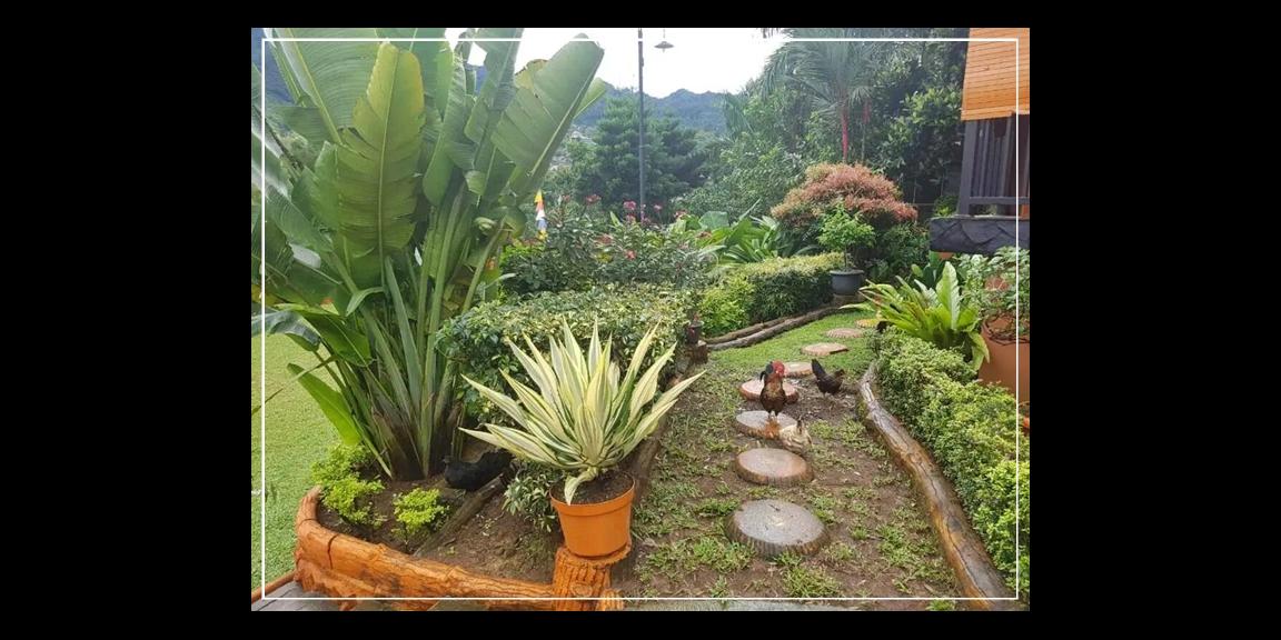 Dijual Villa Cisarua Puncak Bogor Dijual Villa Cisarua Puncak Bogor