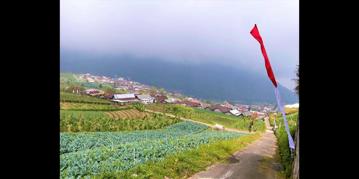 Dijual Tanah Kawasan Resto & Wisata Tawangmangu Karanganyar  Dijual Tanah Kawasan Resto & Wisata Tawangmangu Karanganyar