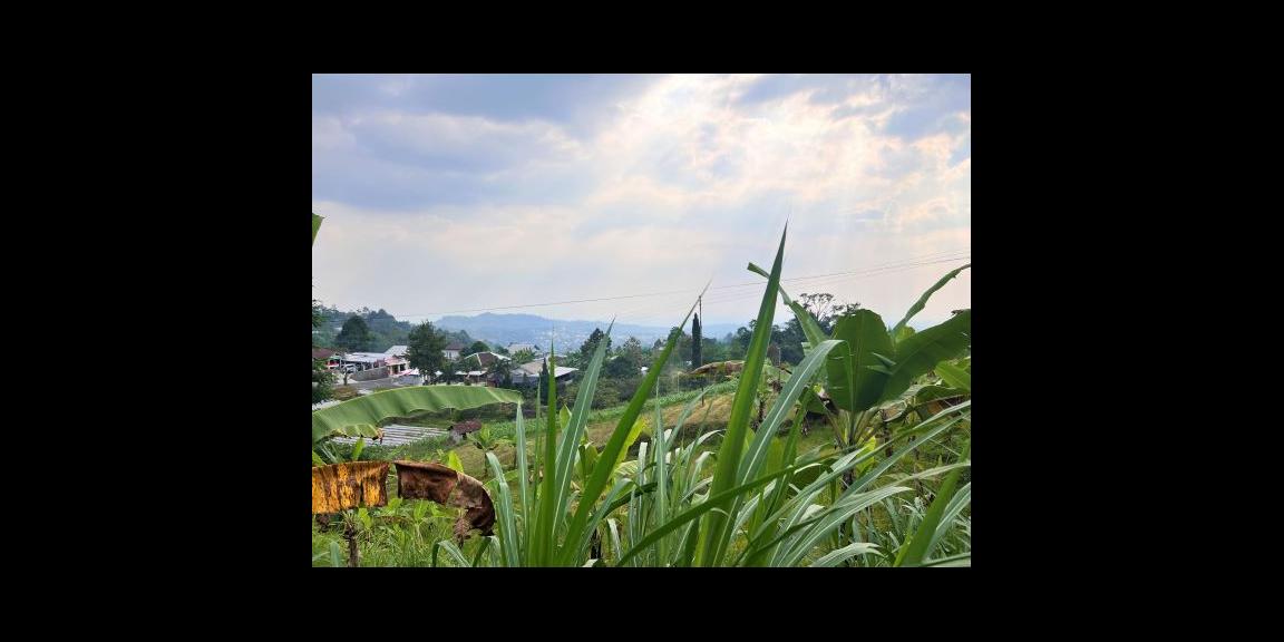 Dijual Cepat Tanah 187m2 Kemuning Karanganyar Dijual Cepat Tanah 187m2 Kemuning Karanganyar