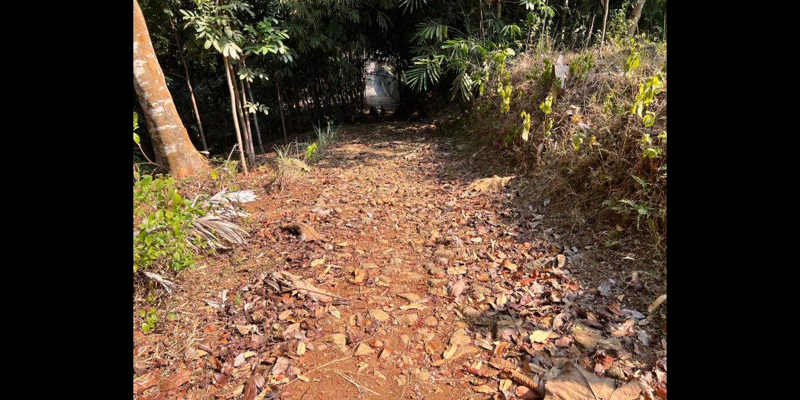 Tanah Dekat Makutoromo Karangpandan Karanganyar Tanah Dekat Makutoromo Karangpandan Karanganyar