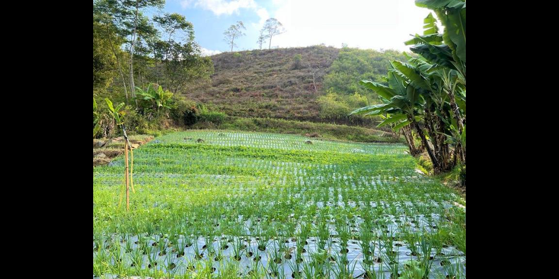 Tanah Dekat Jembatan Kaca Kemuning Karanganyar Tanah Dekat Jembatan Kaca Kemuning Karanganyar