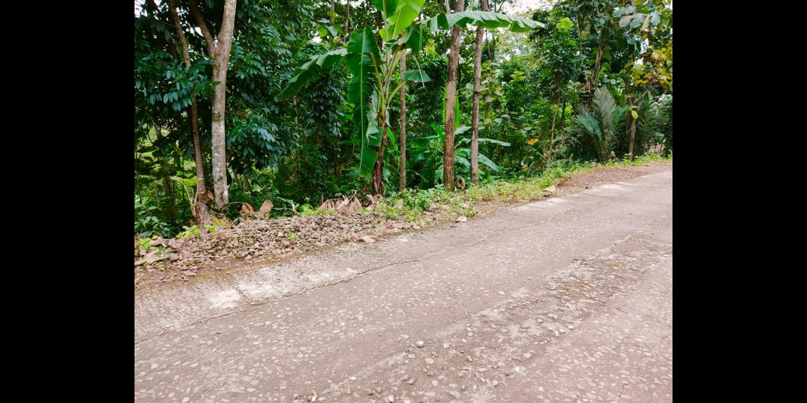 Tanah Strategis dibangun Villa Karangpandan Karanganyar Tanah Strategis dibangun Villa Karangpandan Karanganyar