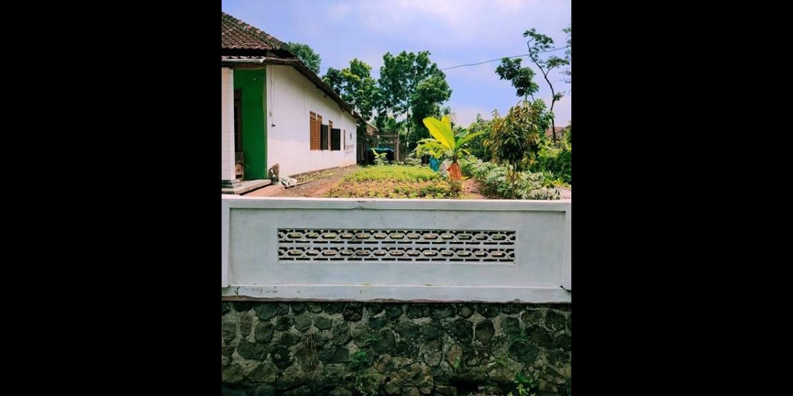 Tanah Siap Buka Usaha Jl Raya Batujamus - Jambangan Tanah Siap Buka Usaha Jl Raya Batujamus - Jambangan