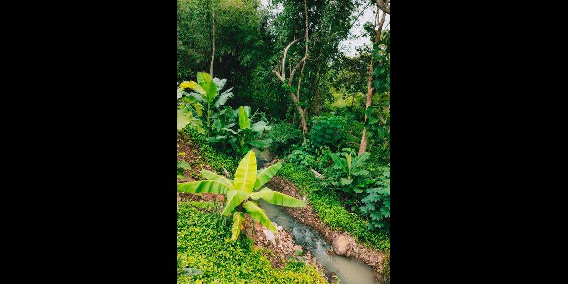 Tanah 3476m² Strtegis Dibangun Vila Dekat Terminal Wisata Karangpandan Tanah 3476m² Strtegis Dibangun Vila Dekat Terminal Wisata Karangpandan