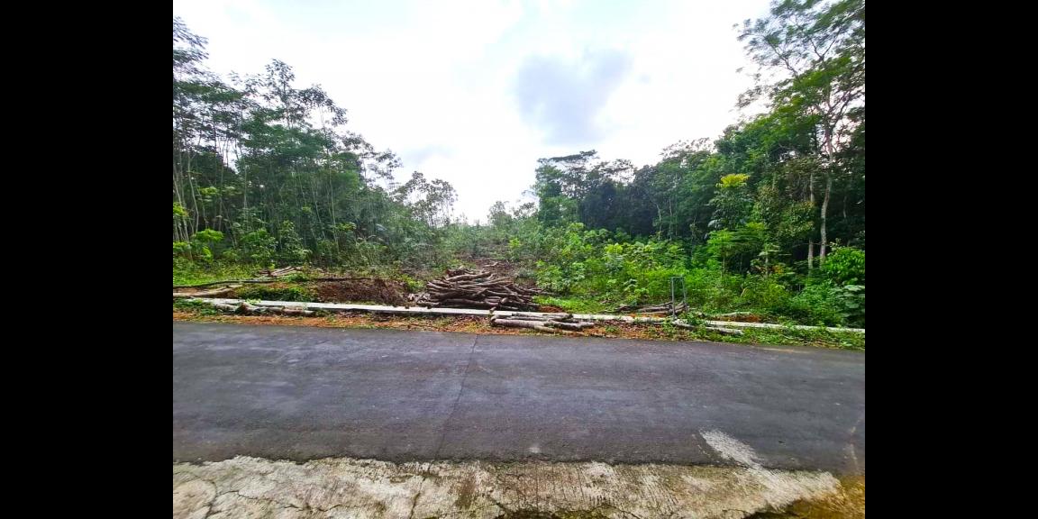 Tanah Cocok untuk Gudang Matesih Karanganyar Tanah Cocok untuk Gudang Matesih Karanganyar