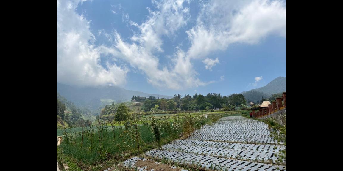 Tanah 400m2 Dekat Wisata Balekambang Tawangmangu Tanah 400m2 Dekat Wisata Balekambang Tawangmangu