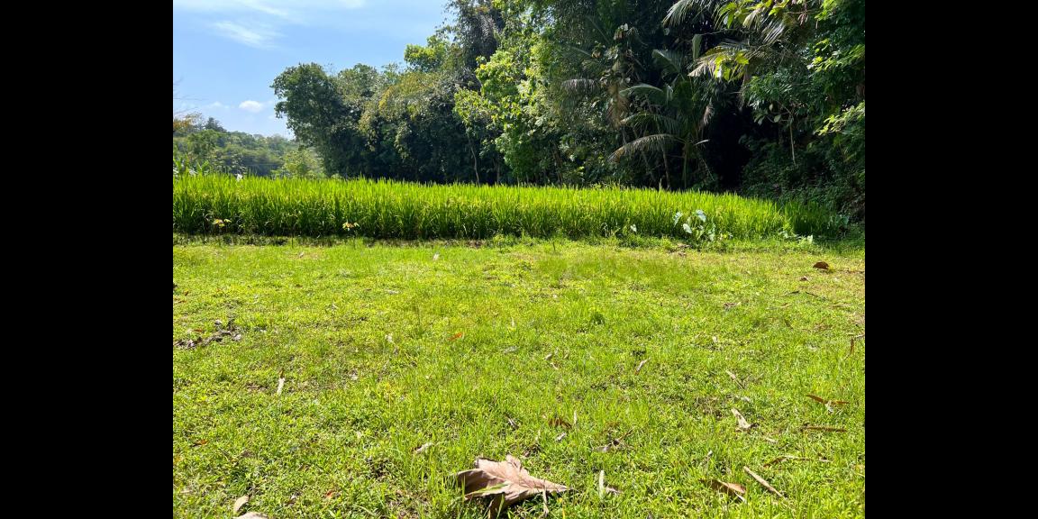 Tanah Seluas ini Hanya 150 Juta Karanganyar Tanah Seluas ini Hanya 150 Juta Karanganyar