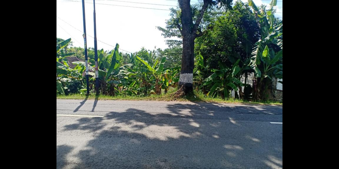 Tanah Strategis Buka Usaha Mojogedang Karanganyar Tanah Strategis Buka Usaha Mojogedang Karanganyar