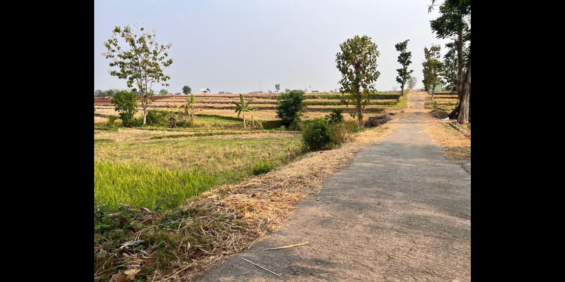 Jual Sawah 845m² 225 Juta Kedawung Sragen Jual Sawah 845m² 225 Juta Kedawung Sragen