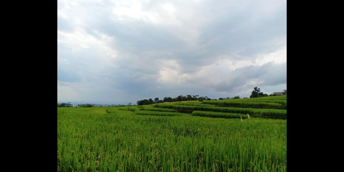 Tanah Cocok dibangun Villa Karanganyar Tanah Cocok dibangun Villa Karanganyar