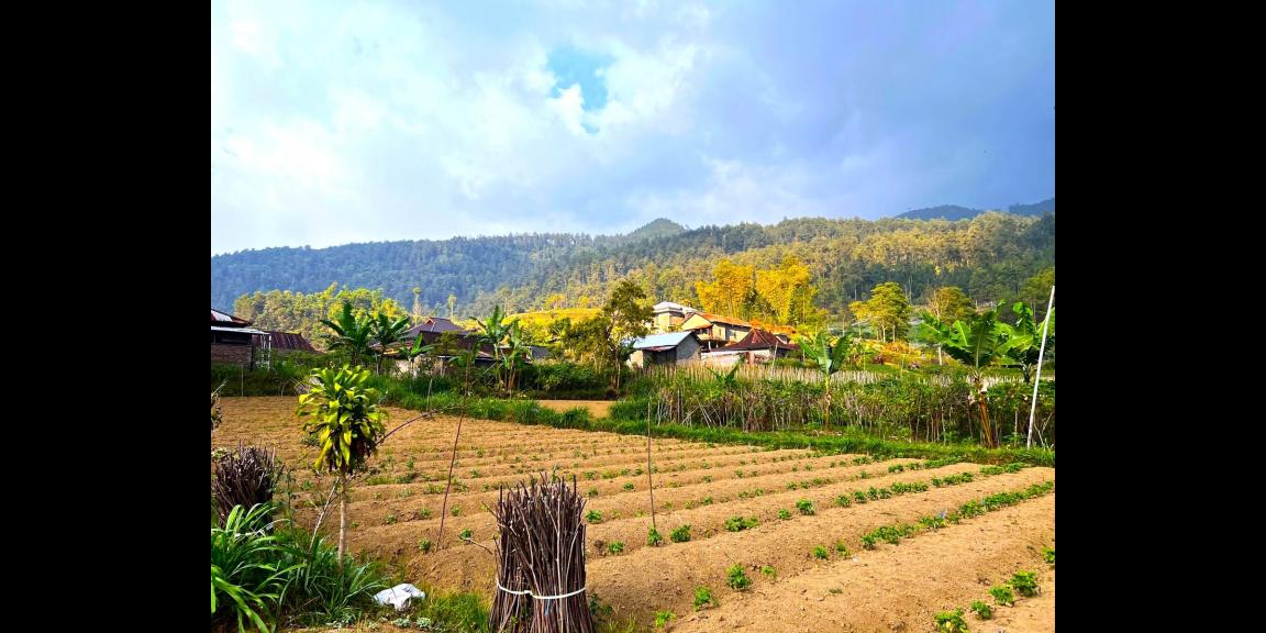 Tanah 175 Juta Utara Telaga Madirda Kemuning Tanah 175 Juta Utara Telaga Madirda Kemuning