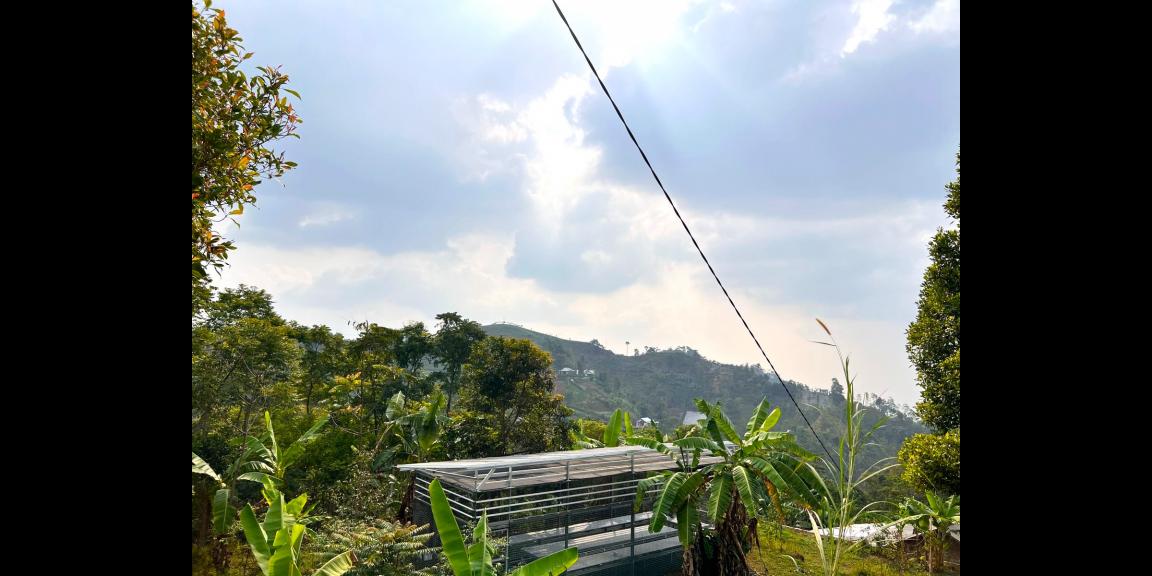 Tanah Hadap Kebun Teh & Jembatan Kaca Kemuning Tanah Hadap Kebun Teh & Jembatan Kaca Kemuning