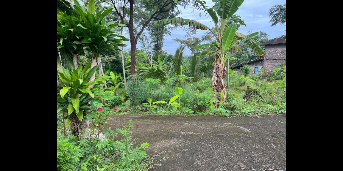 Tanah Dekat Fasilitas Umum Kerjo Karanganyar Tanah Dekat Fasilitas Umum Kerjo Karanganyar