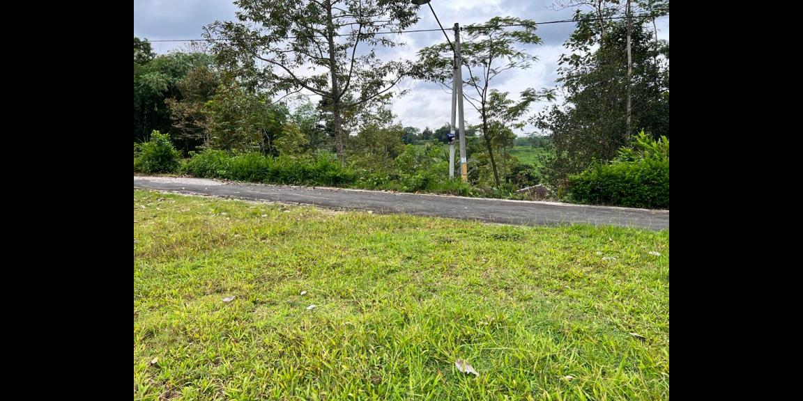 Tanah Cocok Untuk Villa Bonus Kebun Durian Karangpandan Tanah Cocok Untuk Villa Bonus Kebun Durian Karangpandan