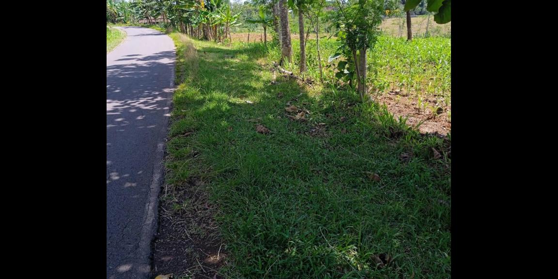 Dijual Tanah 11 Hektar Karanganyar Dijual Tanah 11 Hektar Karanganyar