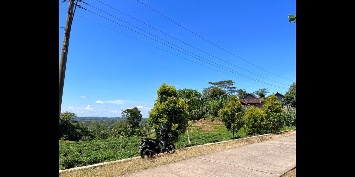 Dijual Kebun Durian Siap Panen Karanganyar Dijual Kebun Durian Siap Panen Karanganyar