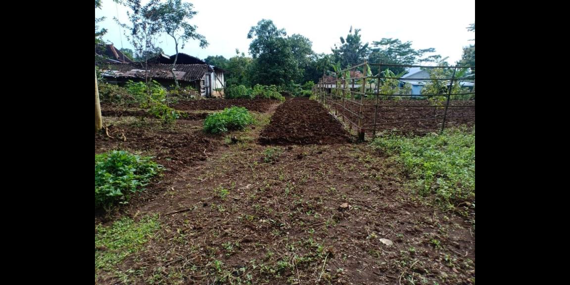 Tanah Strategis Siap Dibangun Selatan Puskesmas Mojogedang Karanganyar Tanah Strategis Siap Dibangun Selatan Puskesmas Mojogedang Karanganyar