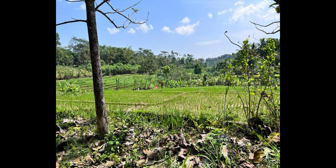 Dijual Tanah 1936 m2 Dekat Pasar Mojogedang Karanganyar Dijual Tanah 1936 m2 Dekat Pasar Mojogedang Karanganyar