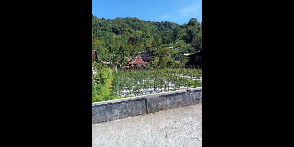 Tanah Datar Dekat Sungai Pegunungan Kemuning Ngargoyoso Tanah Datar Dekat Sungai Pegunungan Kemuning Ngargoyoso