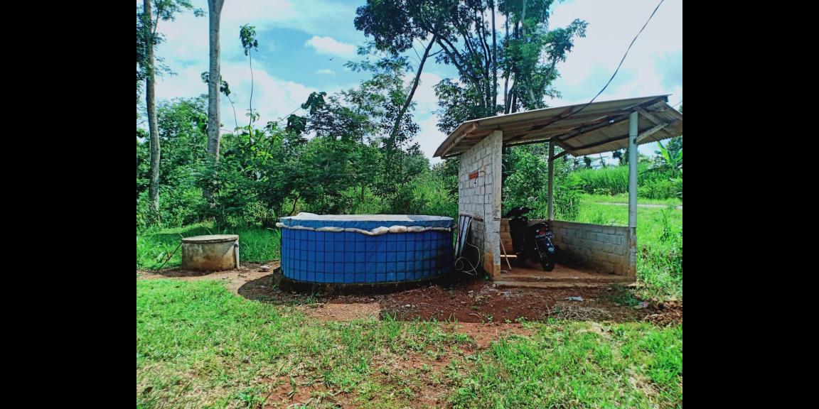 Dijual Tanah Kebun Durian Datar Karanganyar Dijual Tanah Kebun Durian Datar Karanganyar