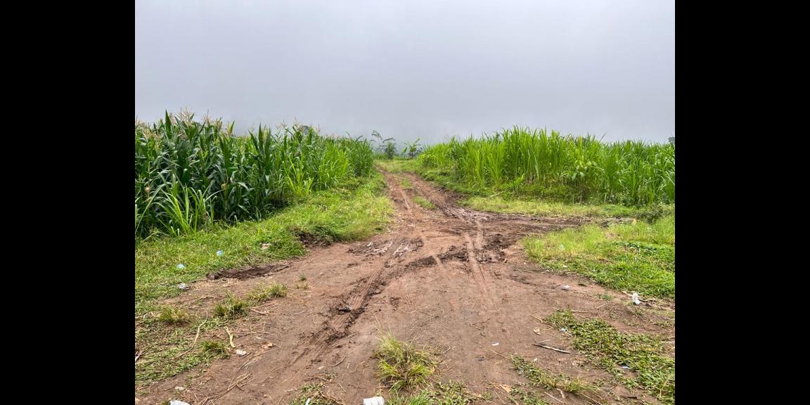 Dijual Tanah Ada Air Terjunnya Ngargoyoso Karanganyar Dijual Tanah Ada Air Terjunnya Ngargoyoso Karanganyar