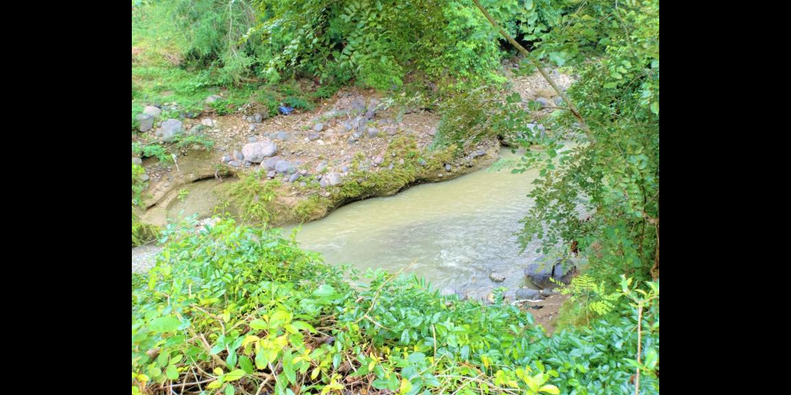 Tanah 1625m2 Dekat Sungai Sambirejo Sragen Tanah 1625m2 Dekat Sungai Sambirejo Sragen