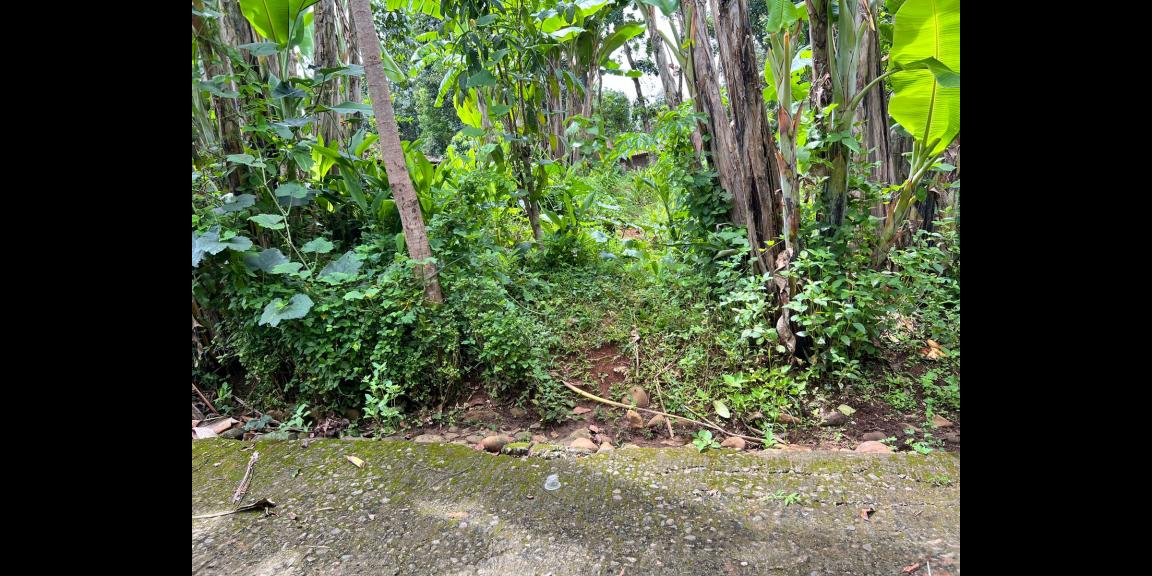 Jual Tanah Barat Pasar Mojogedang Karanganyar Jual Tanah Barat Pasar Mojogedang Karanganyar