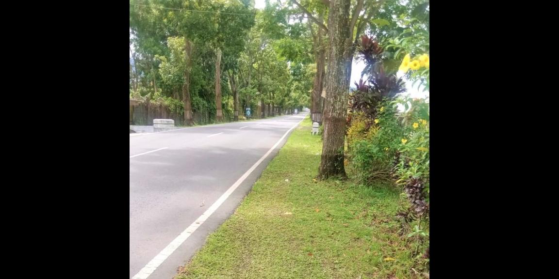 Rumah Siap Huni Jl Raya Solo Tawangmangu Karanganyar Rumah Siap Huni Jl Raya Solo Tawangmangu Karanganyar