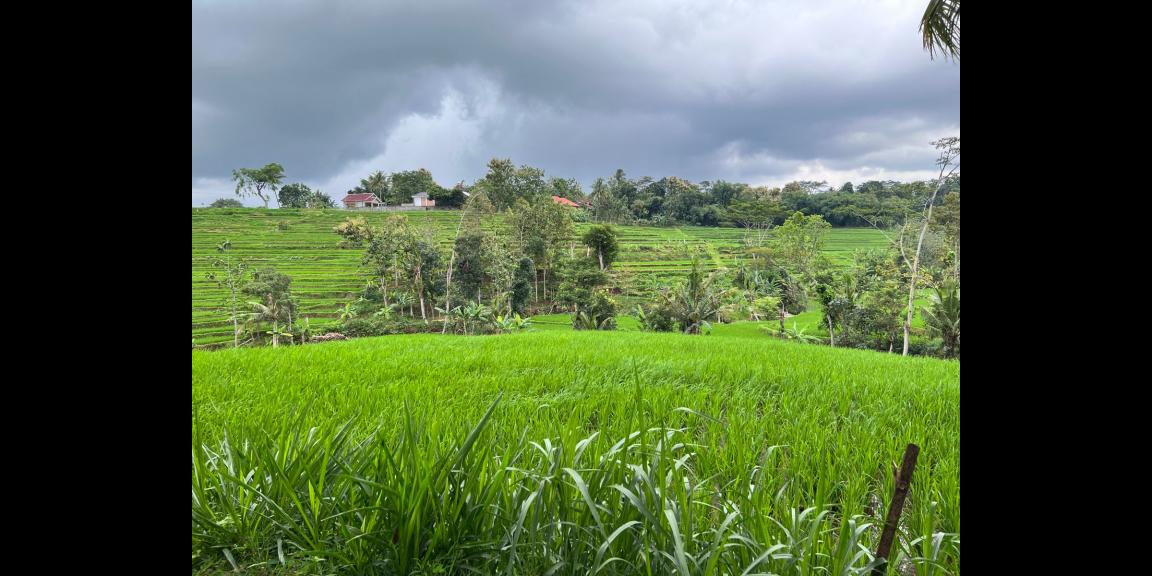 Rumah Siap Huni Dekat Wisata Mojogedang karanganyar Rumah Siap Huni Dekat Wisata Mojogedang karanganyar
