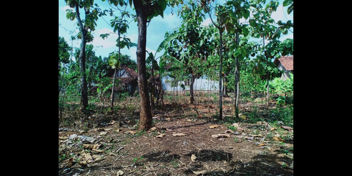 Dijual Rumah Siap Huni Sragen Dijual Rumah Siap Huni Sragen