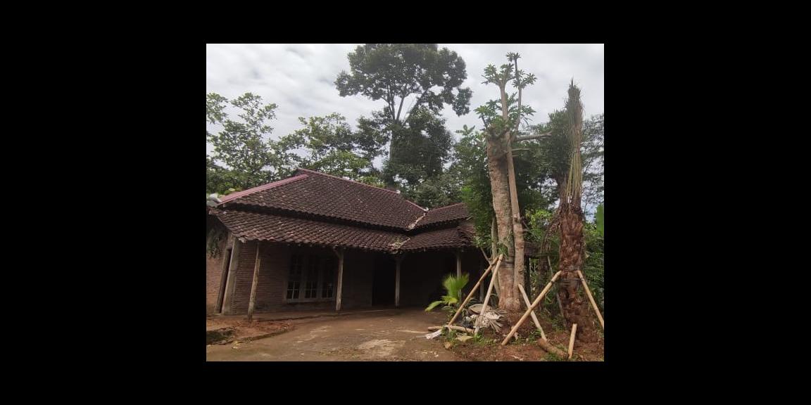 Tanah Kebun Durian Bonus Rumah Karangpandan Karanganyar Tanah Kebun Durian Bonus Rumah Karangpandan Karanganyar