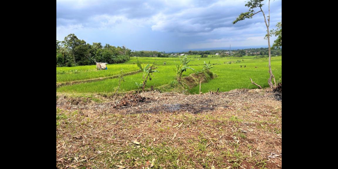 Dijual Rumah Asri View Sawah Karanganyar Dijual Rumah Asri View Sawah Karanganyar