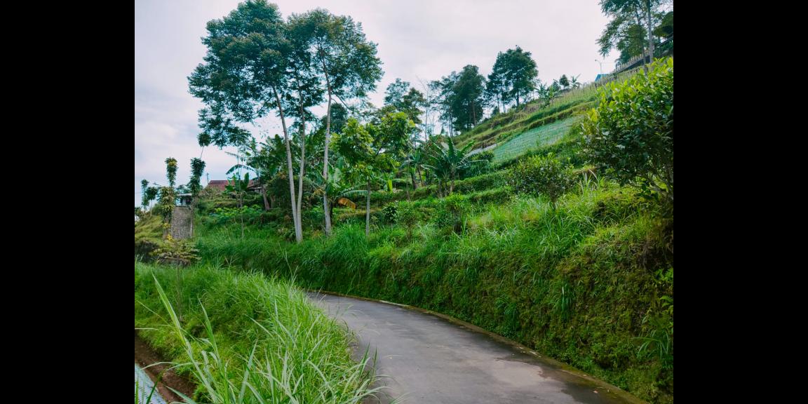 Tanah Idaman Cocok untuk Villa Kemuning Karanganyar Tanah Idaman Cocok untuk Villa Kemuning Karanganyar