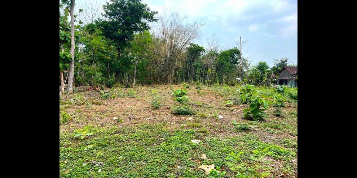 Tanah Datar Siap Bangun Karanganyar Utara Tanah Datar Siap Bangun Karanganyar Utara