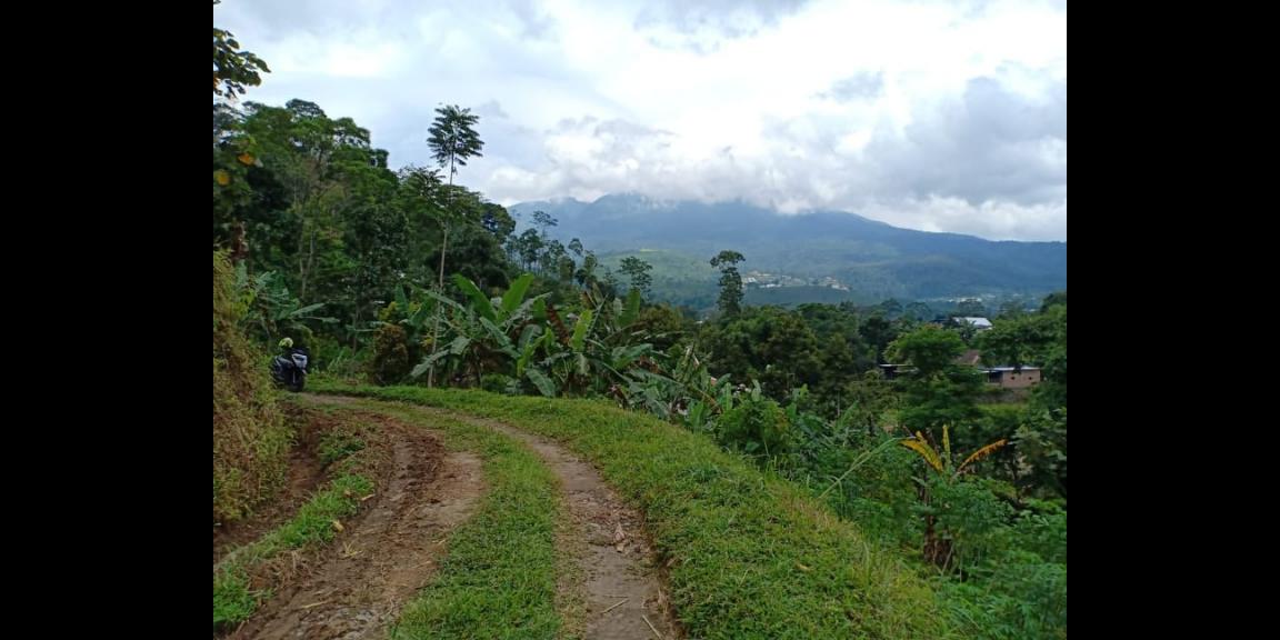 Tanah Dekat Aliran Sungai Bersih Kemuning Ngargoyoso Karanganyar Telp / WA:082327612345 Tanah Dekat Aliran Sungai Bersih Kemuning Ngargoyoso Karanganyar Telp / WA:082327612345