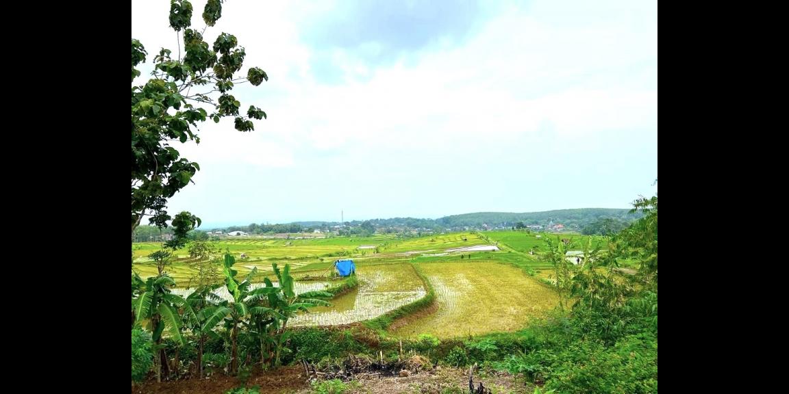 Tanah Strategis 65 Juta Karanganyar Tanah Strategis 65 Juta Karanganyar