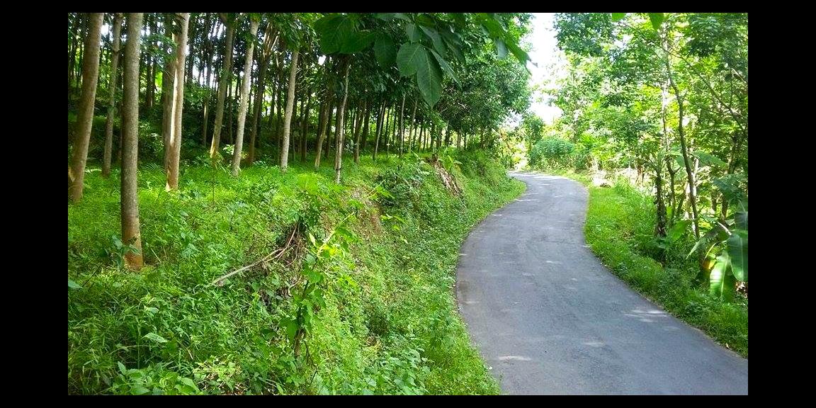 Tanah tepi Jl Kerjo-Sambirejo Kerjo Karanganyar Tanah tepi Jl Kerjo-Sambirejo Kerjo Karanganyar